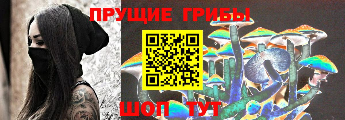 Галлюциногенные грибы мухоморы  Вход с VPN  Псилоцибиновые грибы Magic Shrooms  купить   Зерноград 